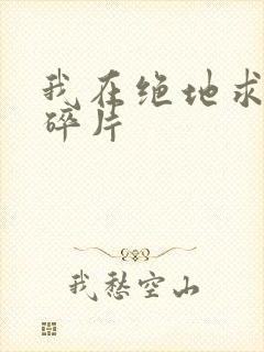 我在绝地求生捡碎片