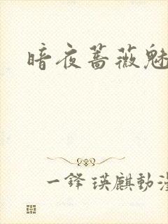 暗夜蔷薇魅封面