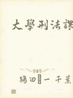 大学刑法课