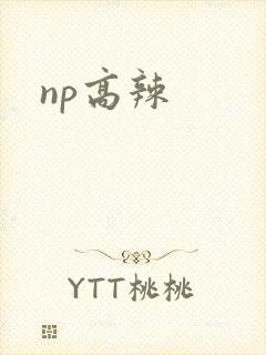 np高辣