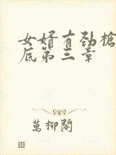 女婿有劲枪枪到底第三章