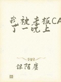 我被老板CAO了一晚上