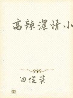 高辣浓情小说