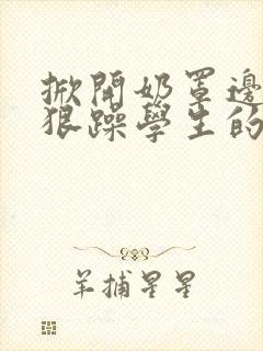 掀开奶罩边躁狠狠躁学生的小文字