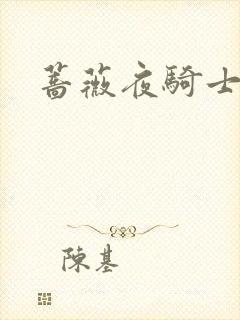 蔷薇夜骑士
