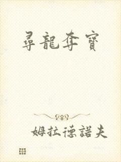 寻龙夺宝