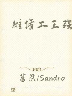 维修工王强张婷