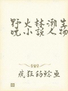 野火林潮生林晚晚小说人物野火