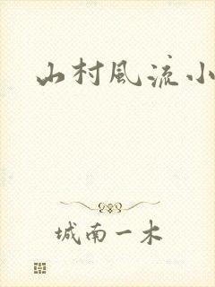 山村风流小说