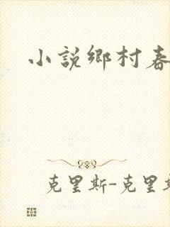 小说乡村春光