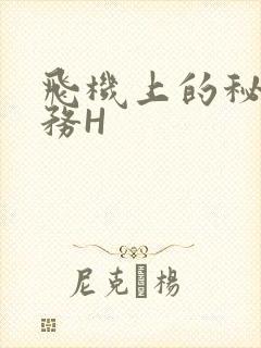 飞机上的秘密服务H