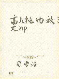高h纯肉放荡h文np