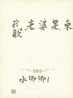 我老婆是东方不败