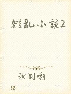 杂乱小说2