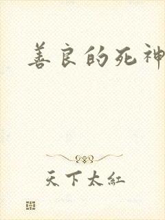 善良的死神小说