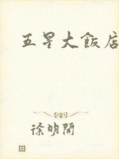 五星大饭店小说