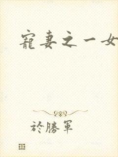 宠妻之一女二夫