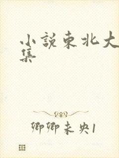 小说东北大炕全集