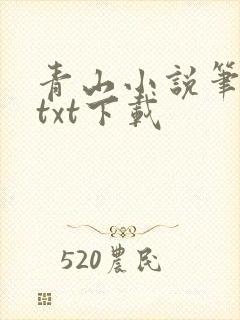 青山小说笔趣阁txt下载