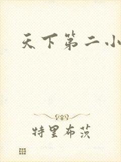 天下第二小说