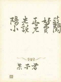 阳光正好苏玥玥小说免费阅读封面