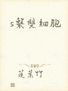 s系双细胞