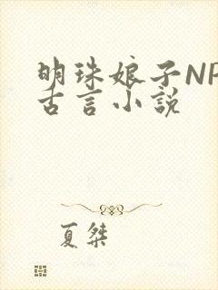 明珠娘子NPC古言小说