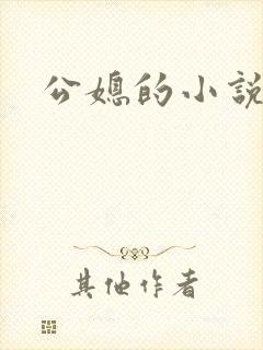 公媳的小说