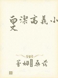 白洁高义小说全文