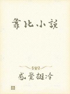 靠比小说