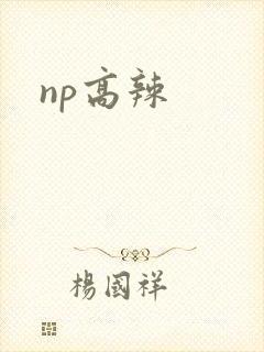 np高辣