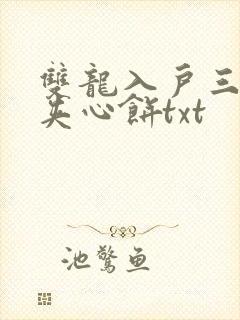 双龙入户三人行夹心饼txt