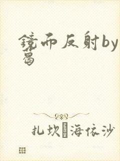 镜面反射by九葛