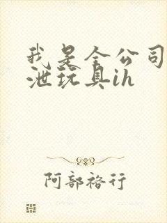 我是全公司的发泄玩具ih