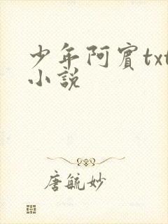 少年阿宾txt小说