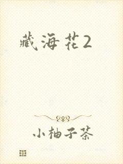 藏海花2