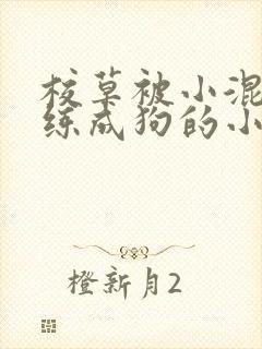 校草被小混混训练成狗的小说