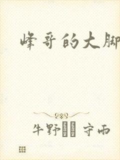 峰哥的大脚