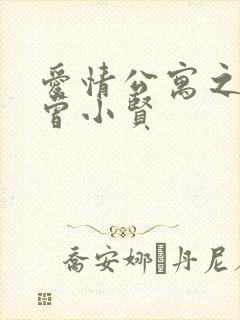 爱情公寓之极品曾小贤