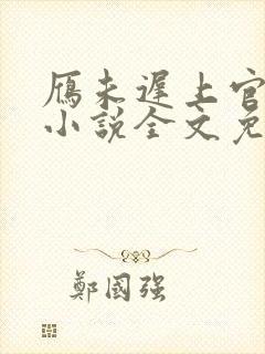 雁未迟上官穿越小说全文免费阅读