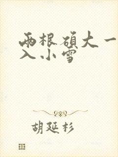 两根硕大一起挤入小雪