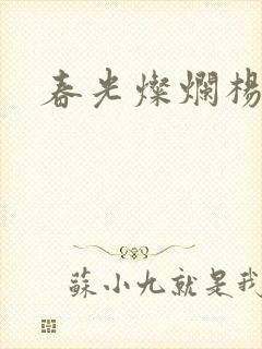 春光灿烂杨家将