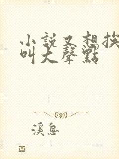 小说又想挨C了叫大声点