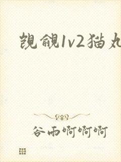 觊觎1v2猫丸