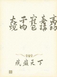 太子宠妾高肉红烧肉包讲的什么