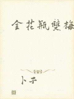 金花瓶双梅花3封面