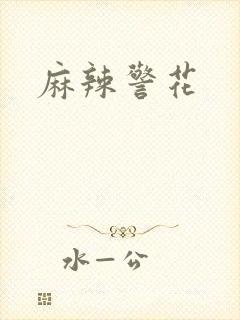 麻辣警花