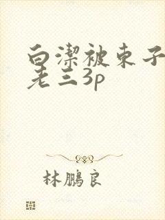 白洁被东子老二老三3p