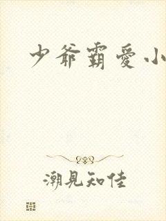 少爷霸爱小丫头