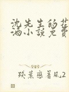 沈先生的花式调酒小说免费阅读